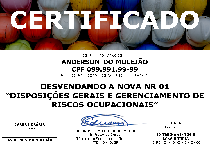 Desvendando a NOVA NR 01